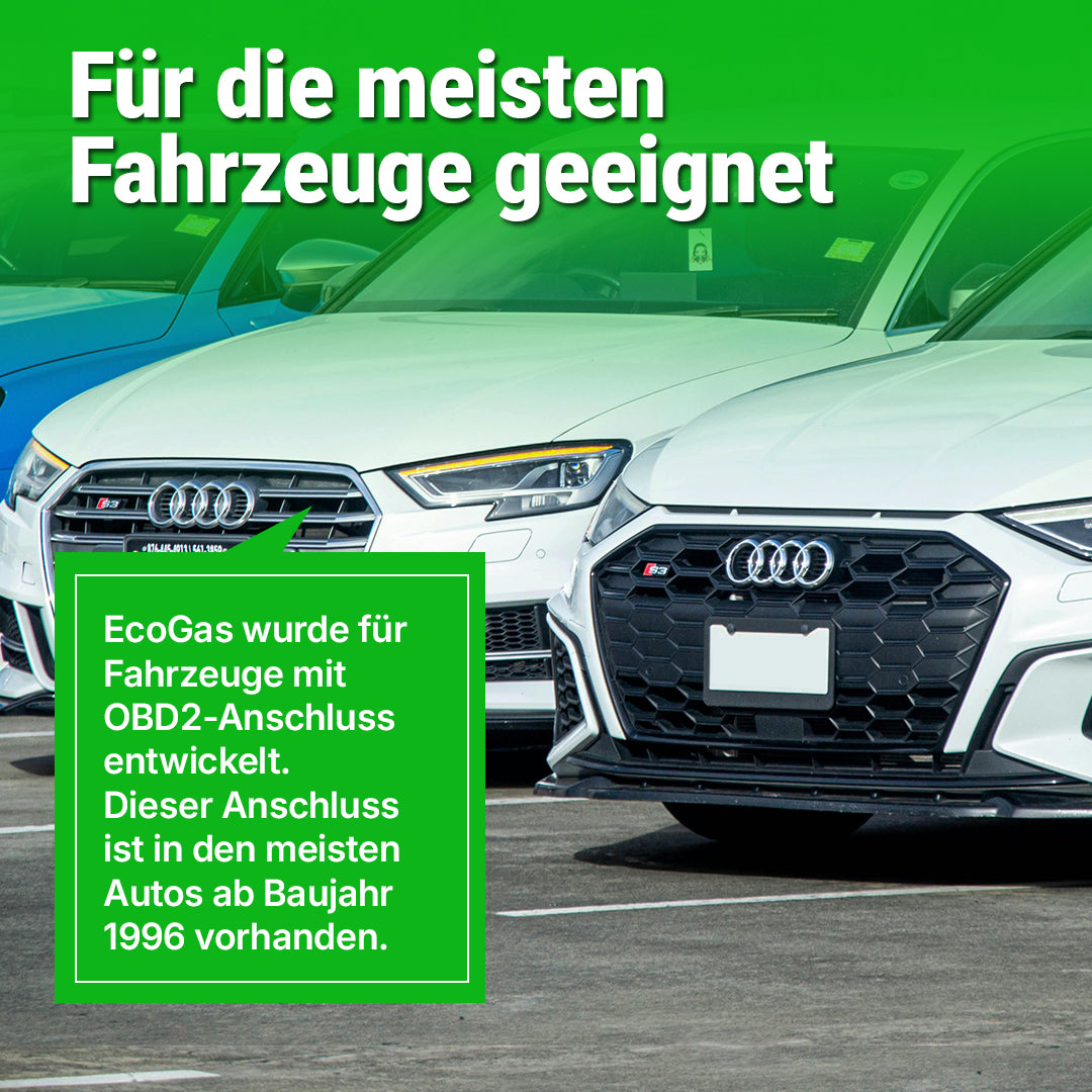 Sparen Sie Ihre Tankkosten mit EcoGas™